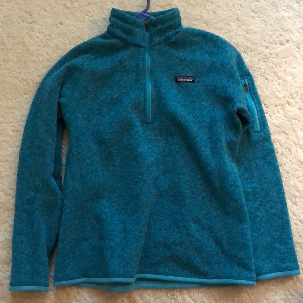 Patagonia sweatshirt